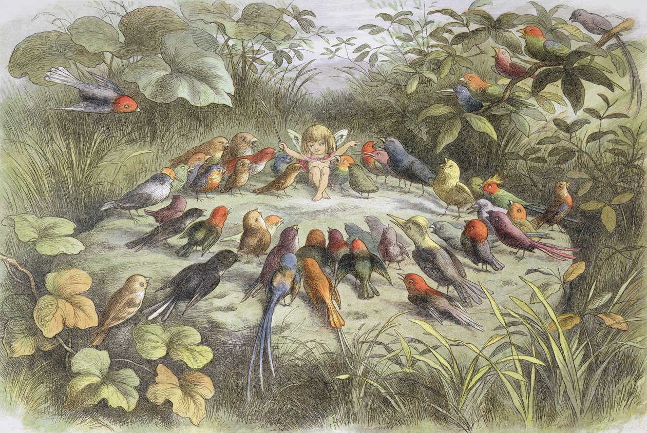 Musikprobe im Feenland (Illustration aus "Im Feenland. Bilder aus der Elfen-Welt", von William Allingham und Andrew Lang - Richard Doyle