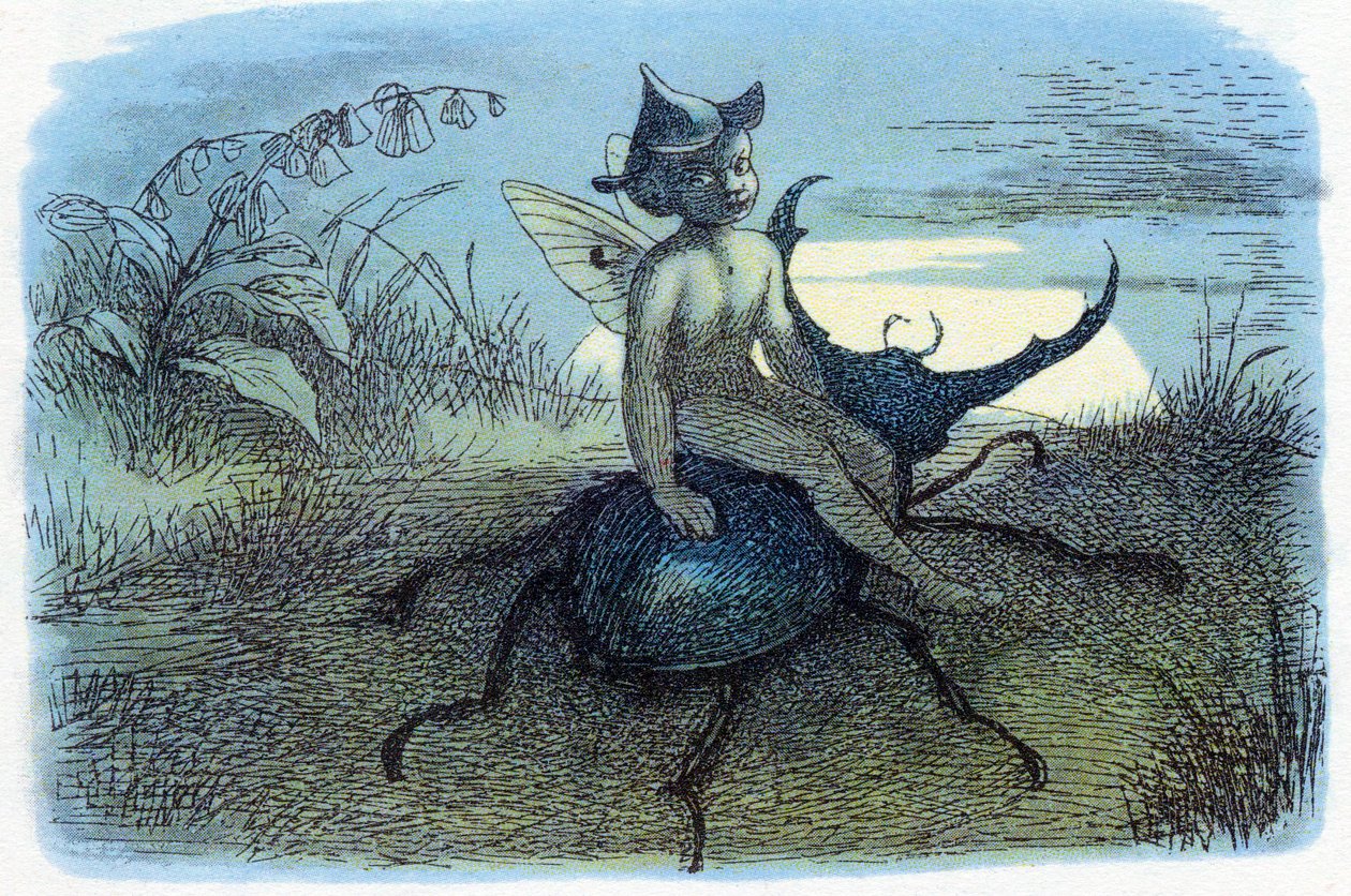 Le messager de la reine des fées, vers 1870 - Richard Doyle
