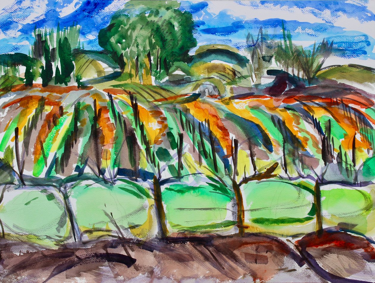 Vignobles d