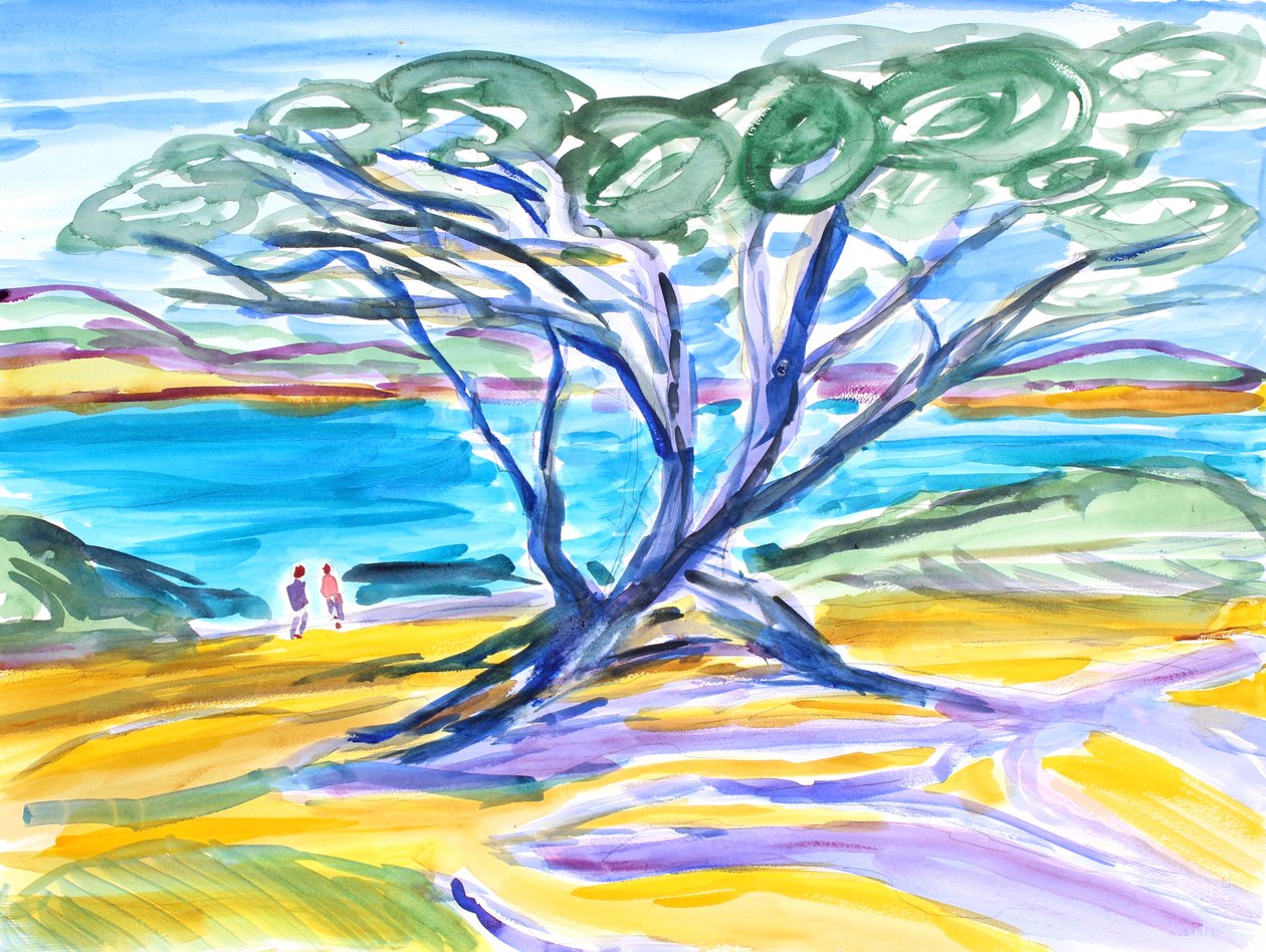 Cyprès, Carmel, 2019 - Richard Fox