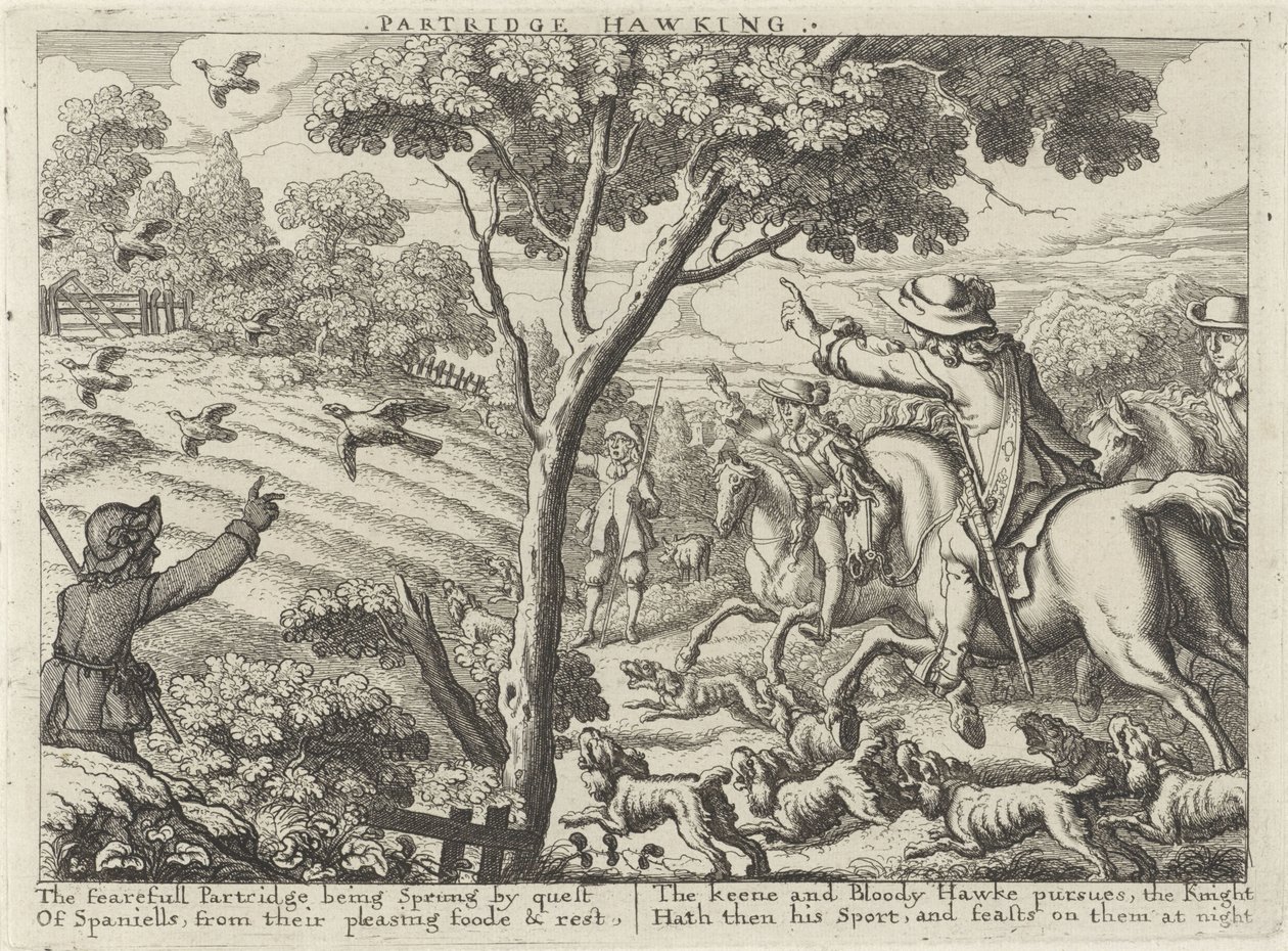 Chasse à la perdrix (Diverses manières de chasser, fauconner et pêcher, selon la manière anglaise) - Richard Gaywood (possibly)