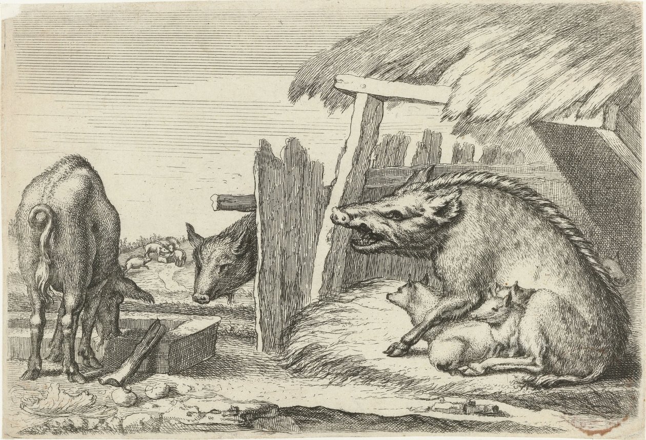 Cochons près d