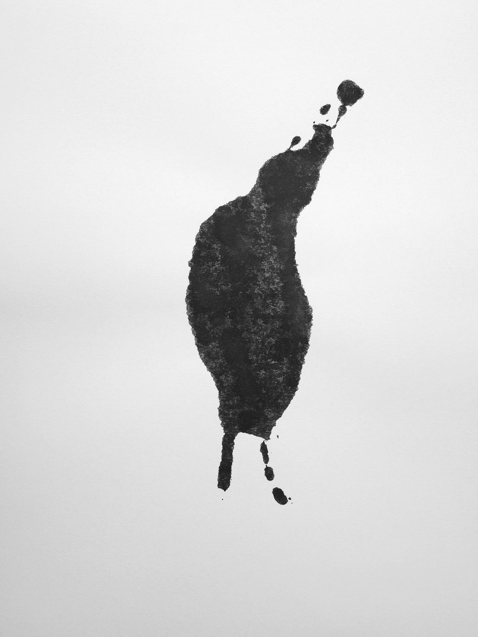Sans titre, 2009 (monotype) - Richard Green