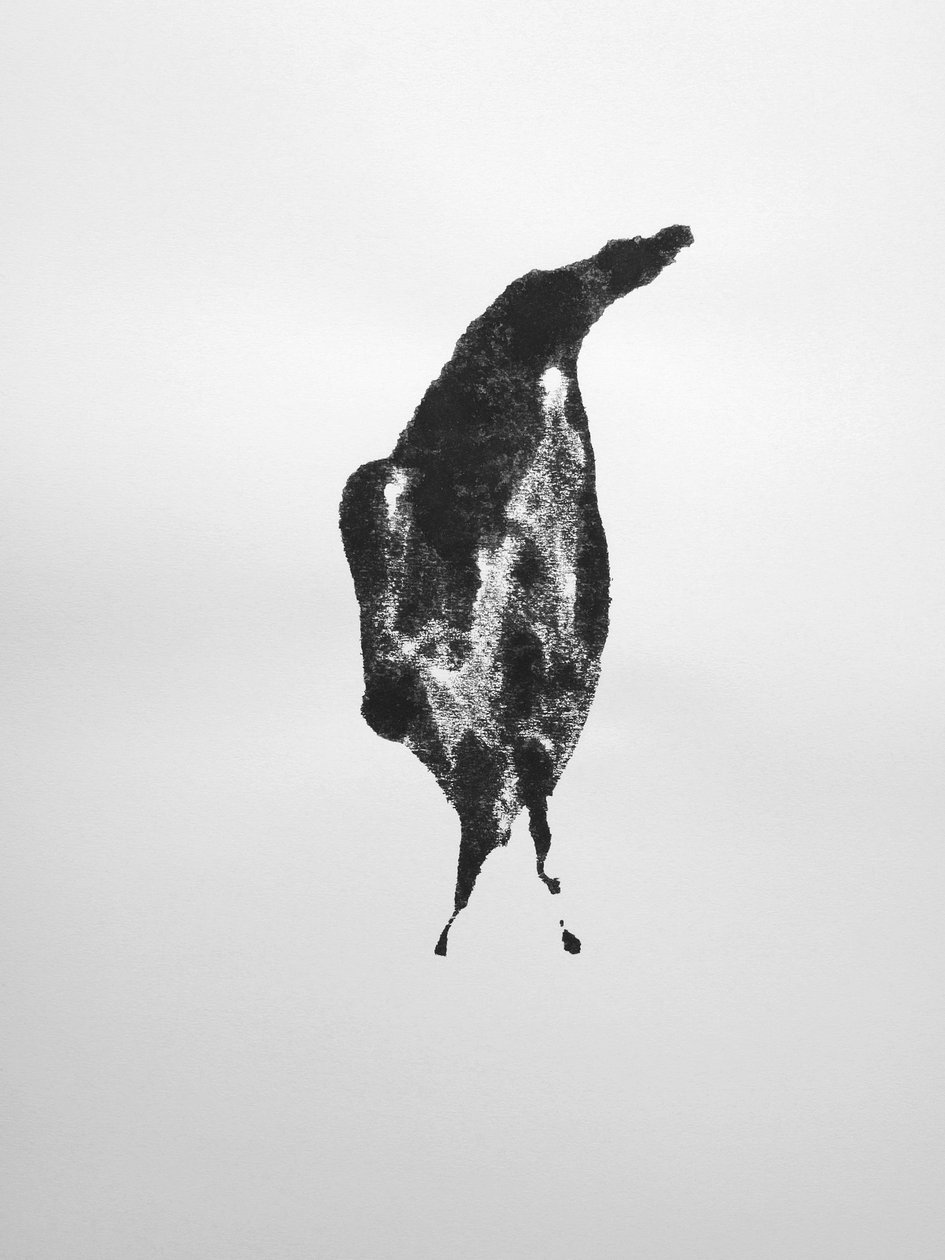 Sans titre, 2009 (monotype) - Richard Green