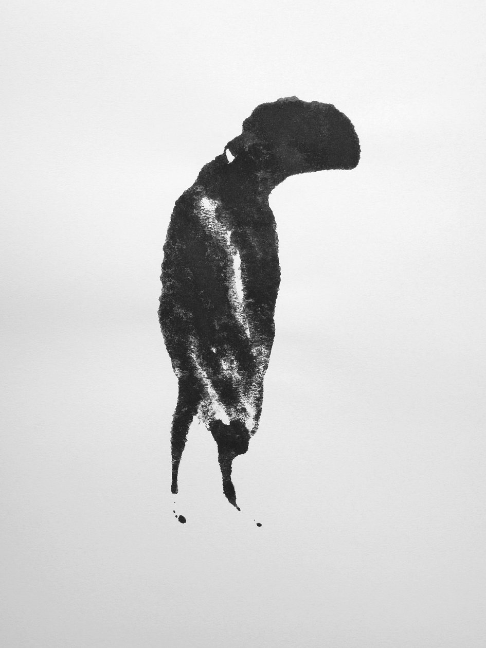 Sans titre, 2009 (monotype) - Richard Green