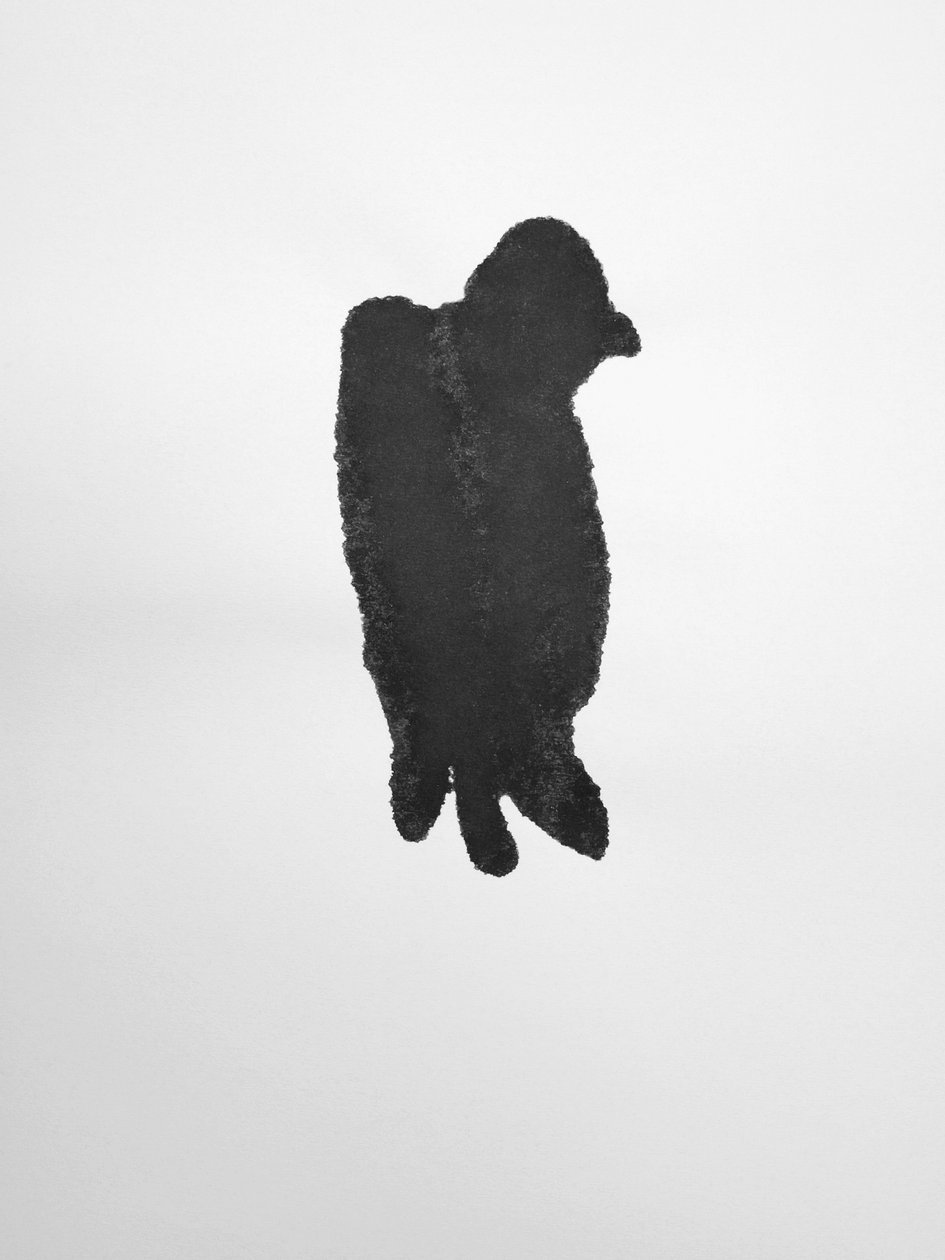 Sans titre, 2009 (monotype) - Richard Green