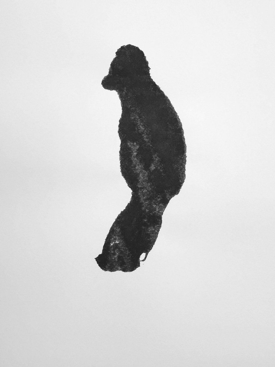Sans titre, 2009 (monotype) - Richard Green