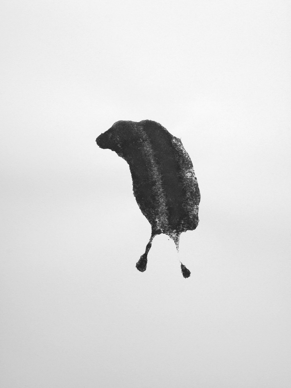 Sans titre, 2009 (monotype) - Richard Green