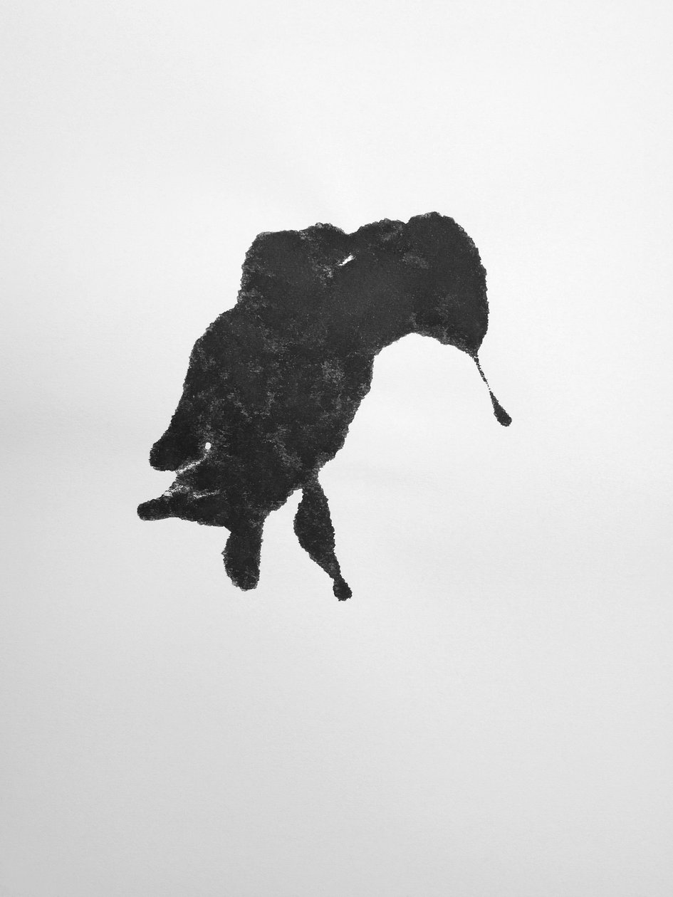 Sans titre, 2009 (monotype) - Richard Green