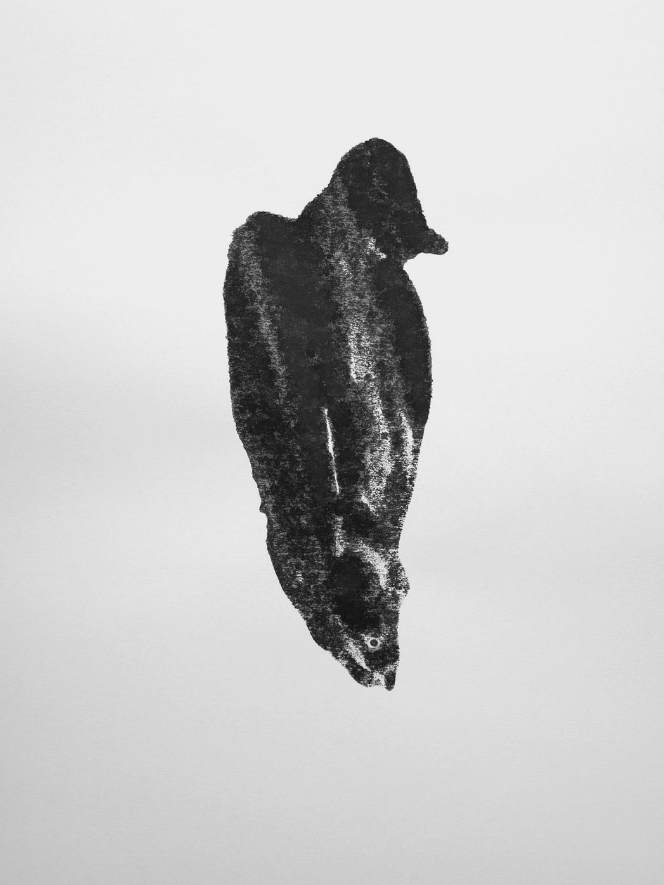 Sans titre, 2009 (monotype) - Richard Green