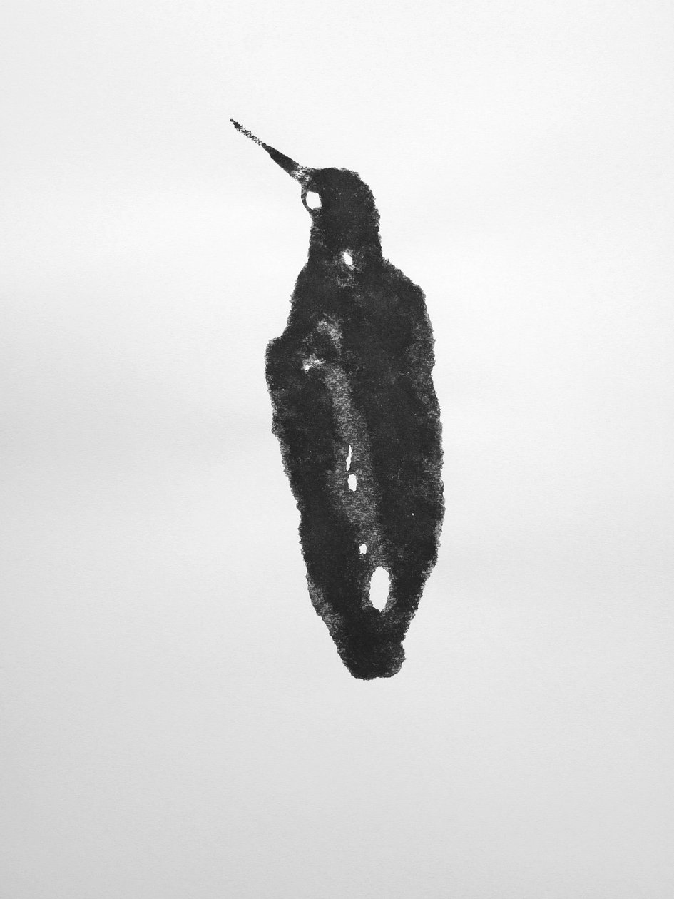 Sans titre, 2009 (monotype) - Richard Green