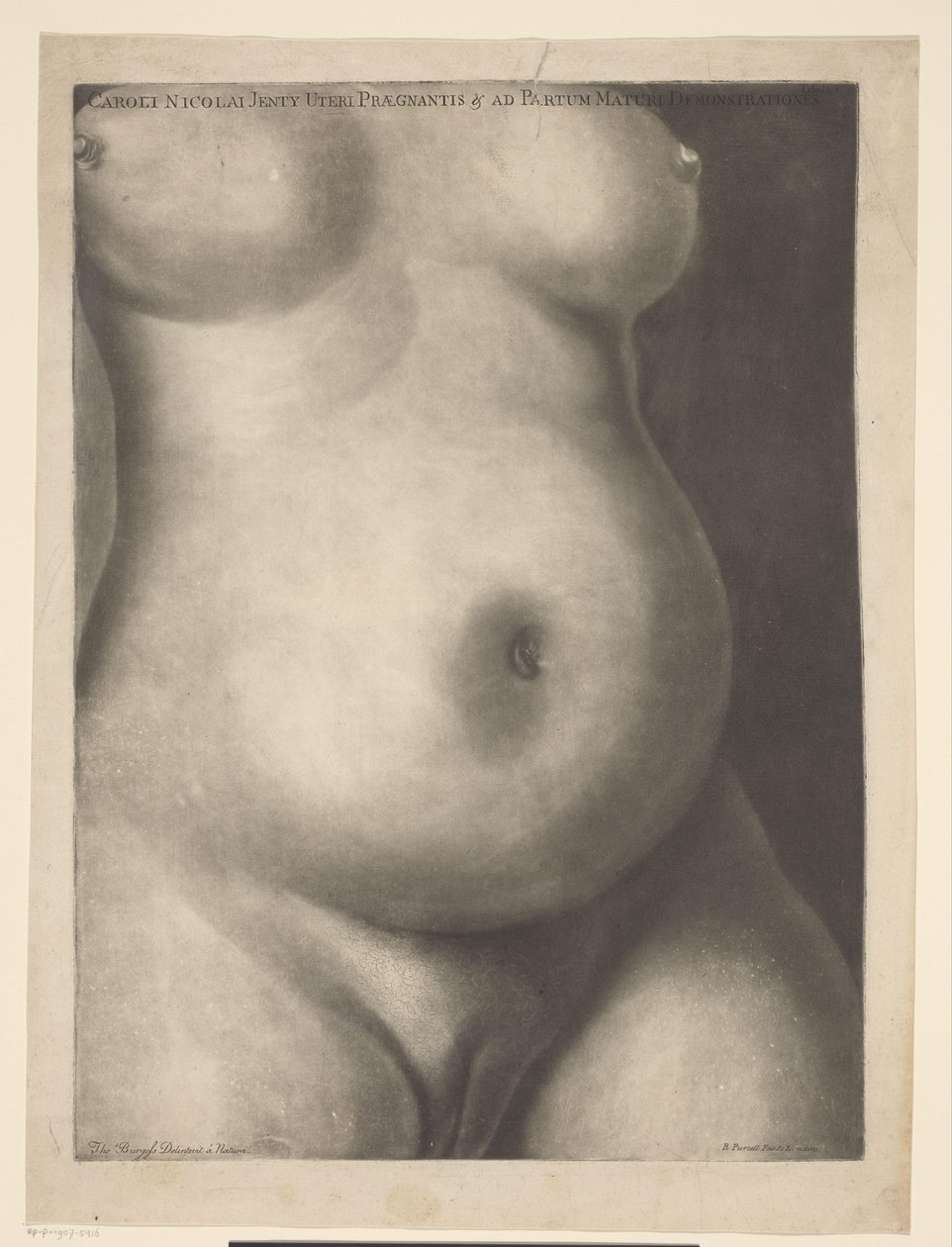 Torso d