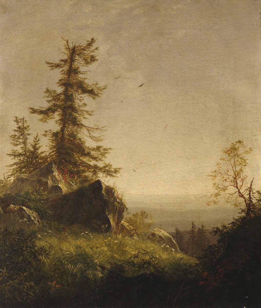Matin sur la montagne, 1856 - Richard William Hubbard