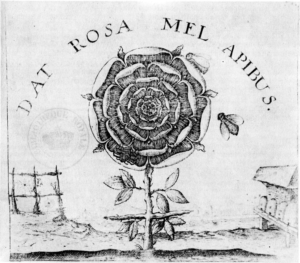 page de Summum Bonum - Robert Fludd