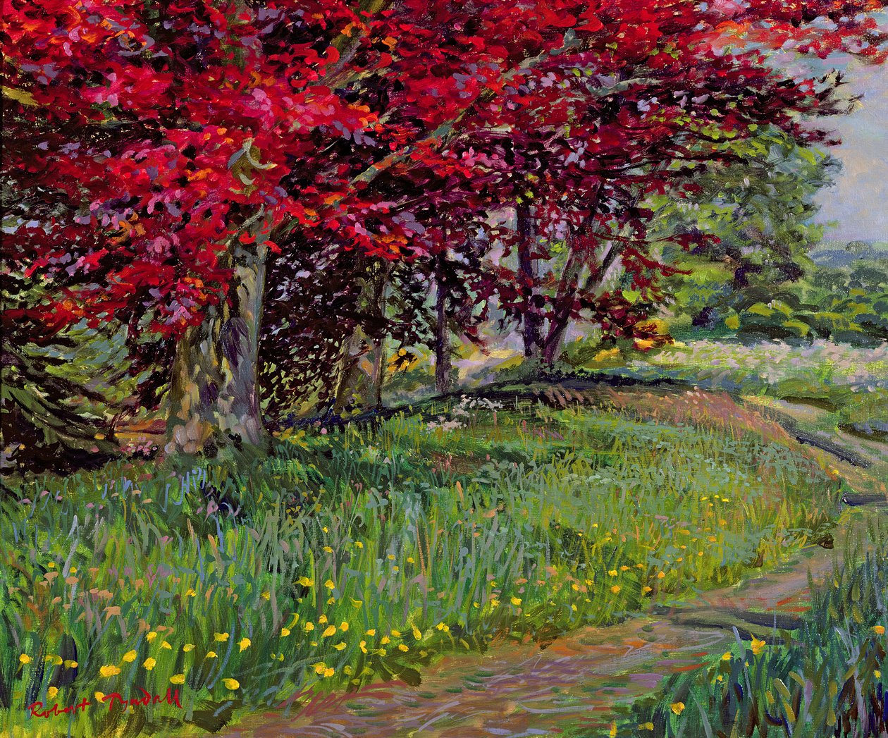 Hêtres Cuivrés, New Timber, Sussex - Robert Tyndall