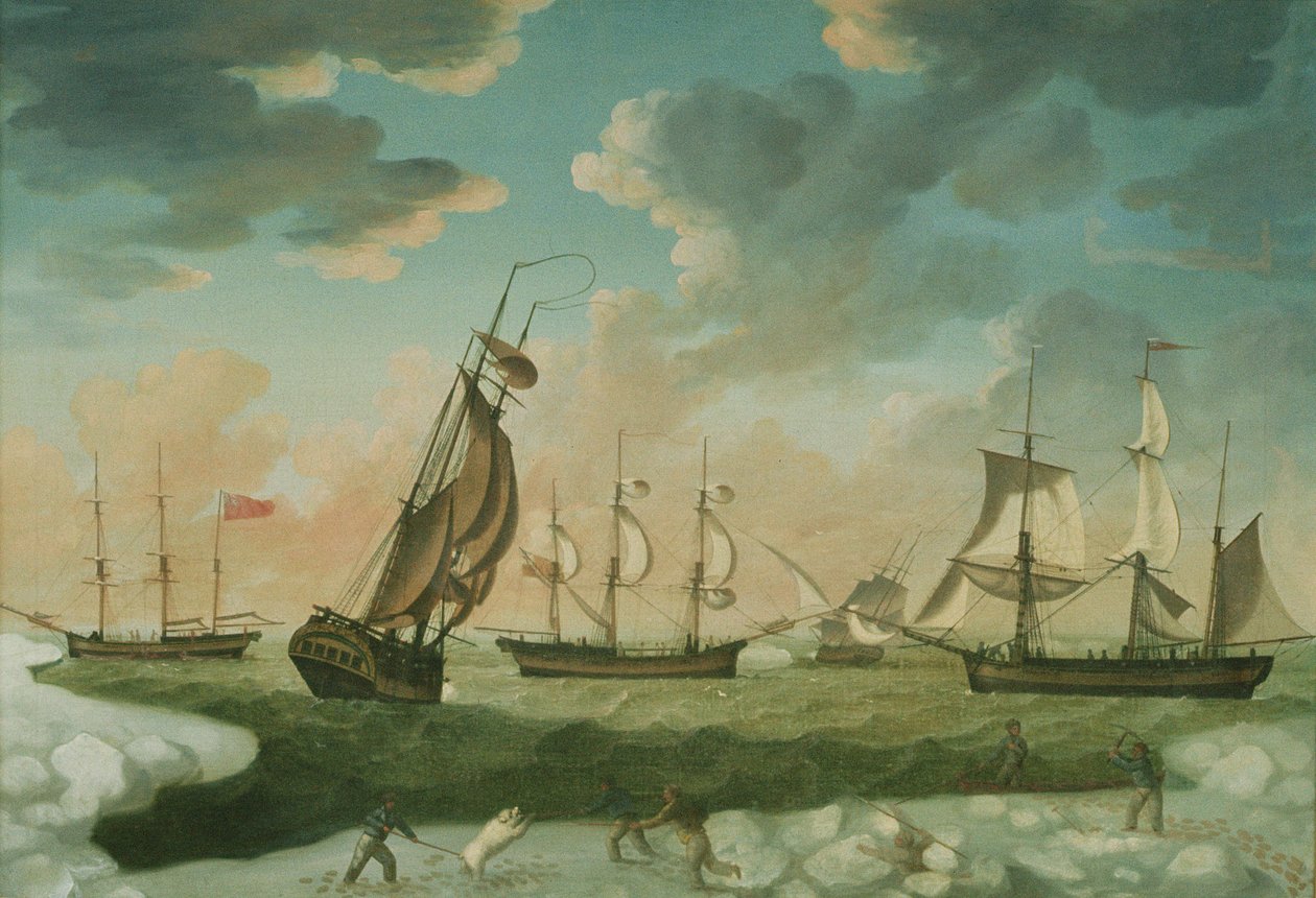 Scène arctique - Robert Willoughby