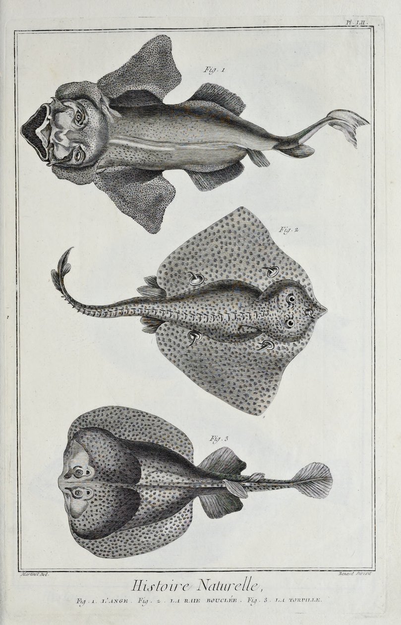 Illustration de 