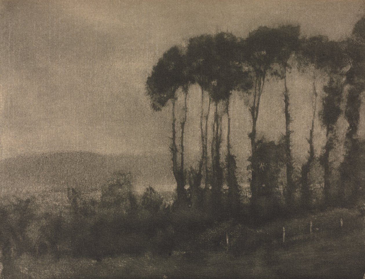 Camera Work: Vallée de Toucques - Robert Demachy