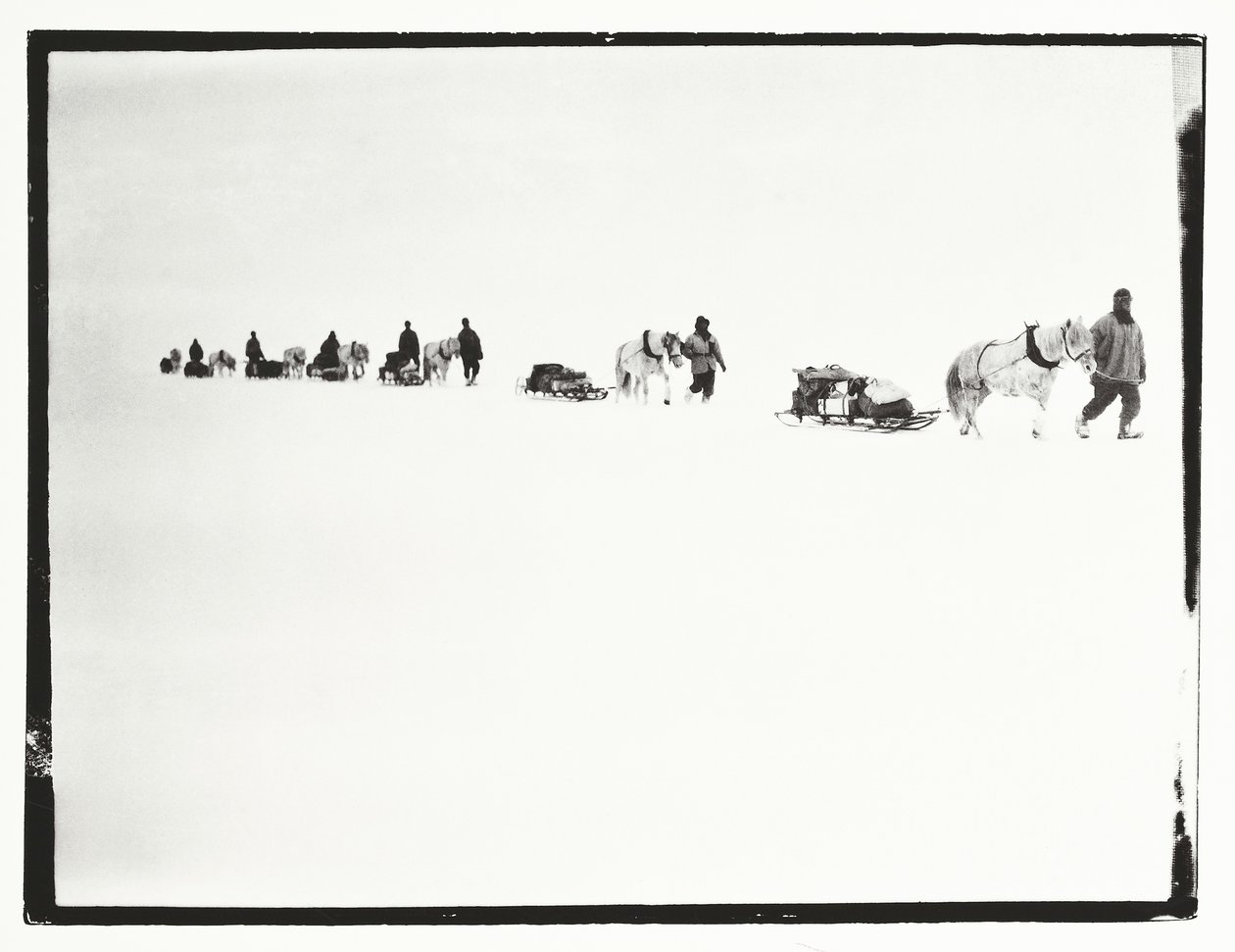 Poneys en marche, Grande Barrière de Glace, 2 décembre - Robert Falcon Scott