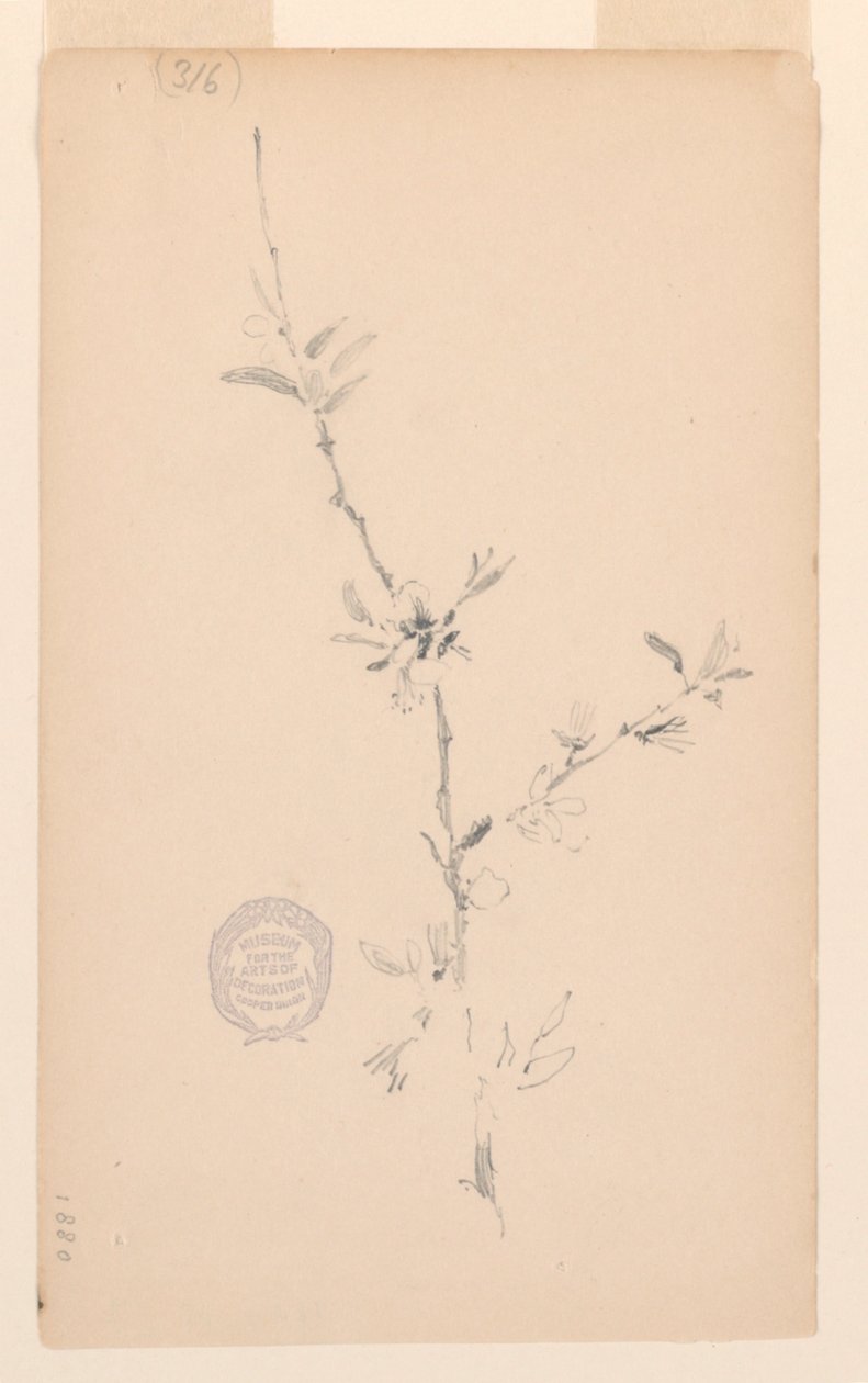 Branche - Robert Frederick Blum