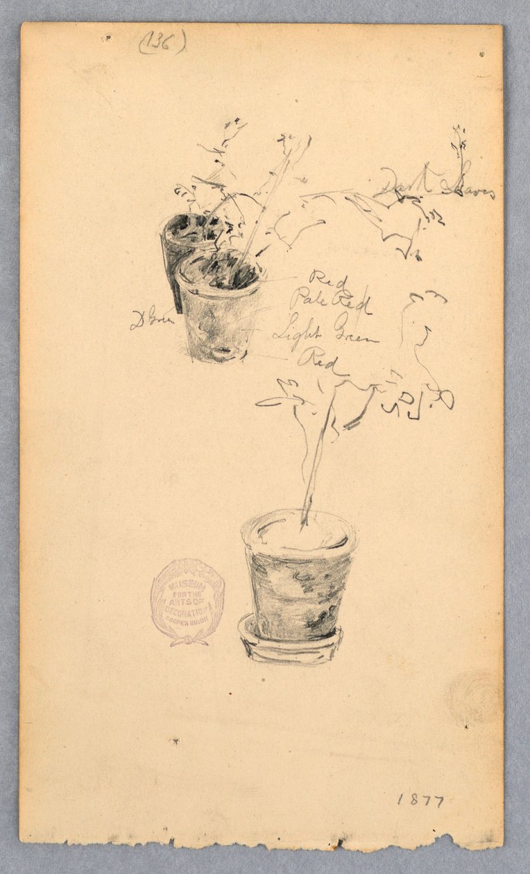 Dessin, pots de fleurs, 1877 - Robert Frederick Blum