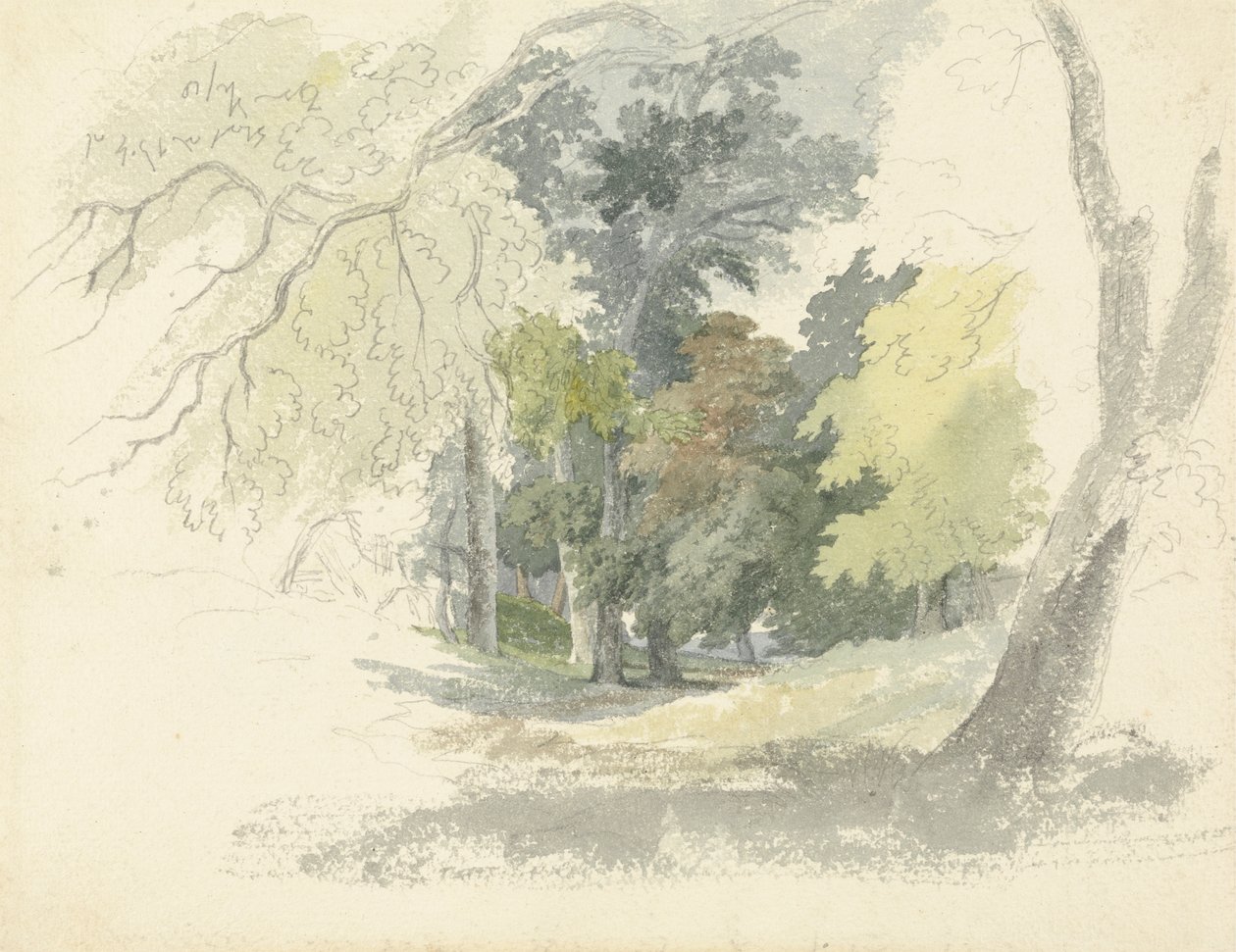 Une clairière boisée - Robert Hills