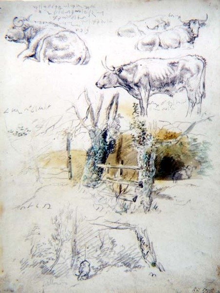 Études de bétail - Robert Hills