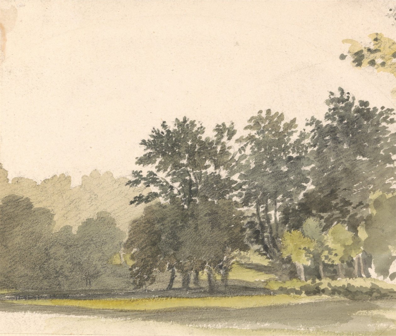 Paysage avec des arbres - Robert Hills