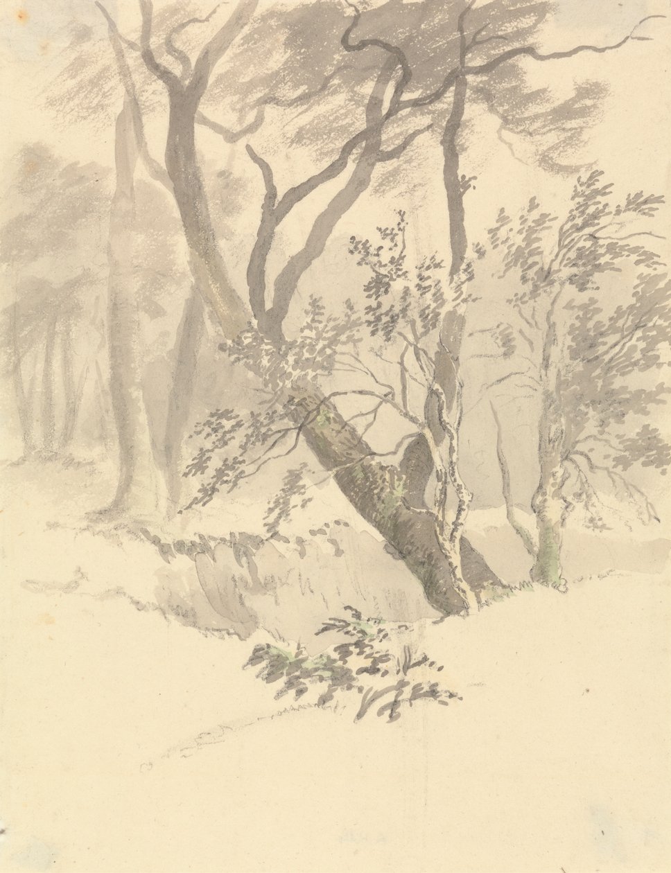 Le Bois - Robert Hills
