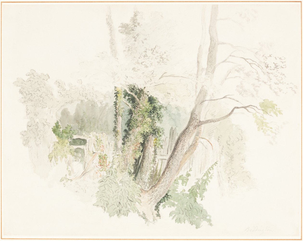 Les arbres de Beddington - Robert Hills