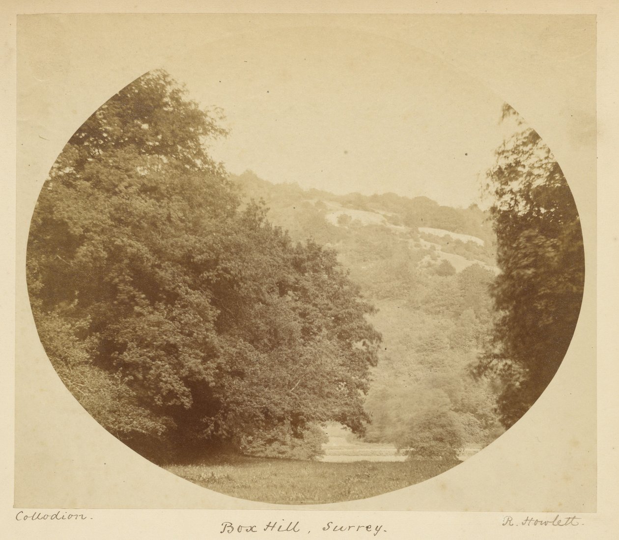 Box Hill, Surrey - Robert Howlett