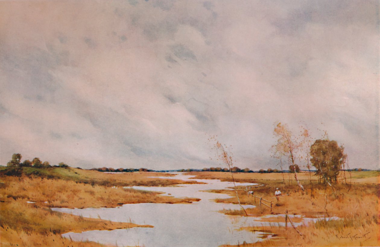 Réparation de la clôture, marais du Suffolk - Robert J Hewitt
