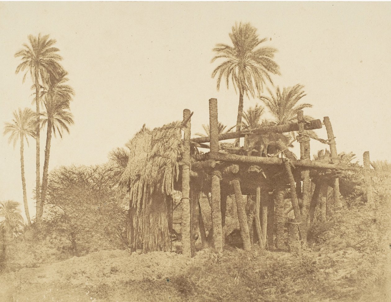 Sakkieh nubien, ou Roue à eau, vers 1856 - Robert Murray.
