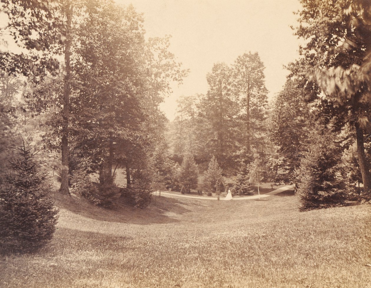 Domaine de Clarence Howard Clark, extrait du portfolio "Views at Chestnutwold" (Vues de Chestnutwold) - Robert Newell