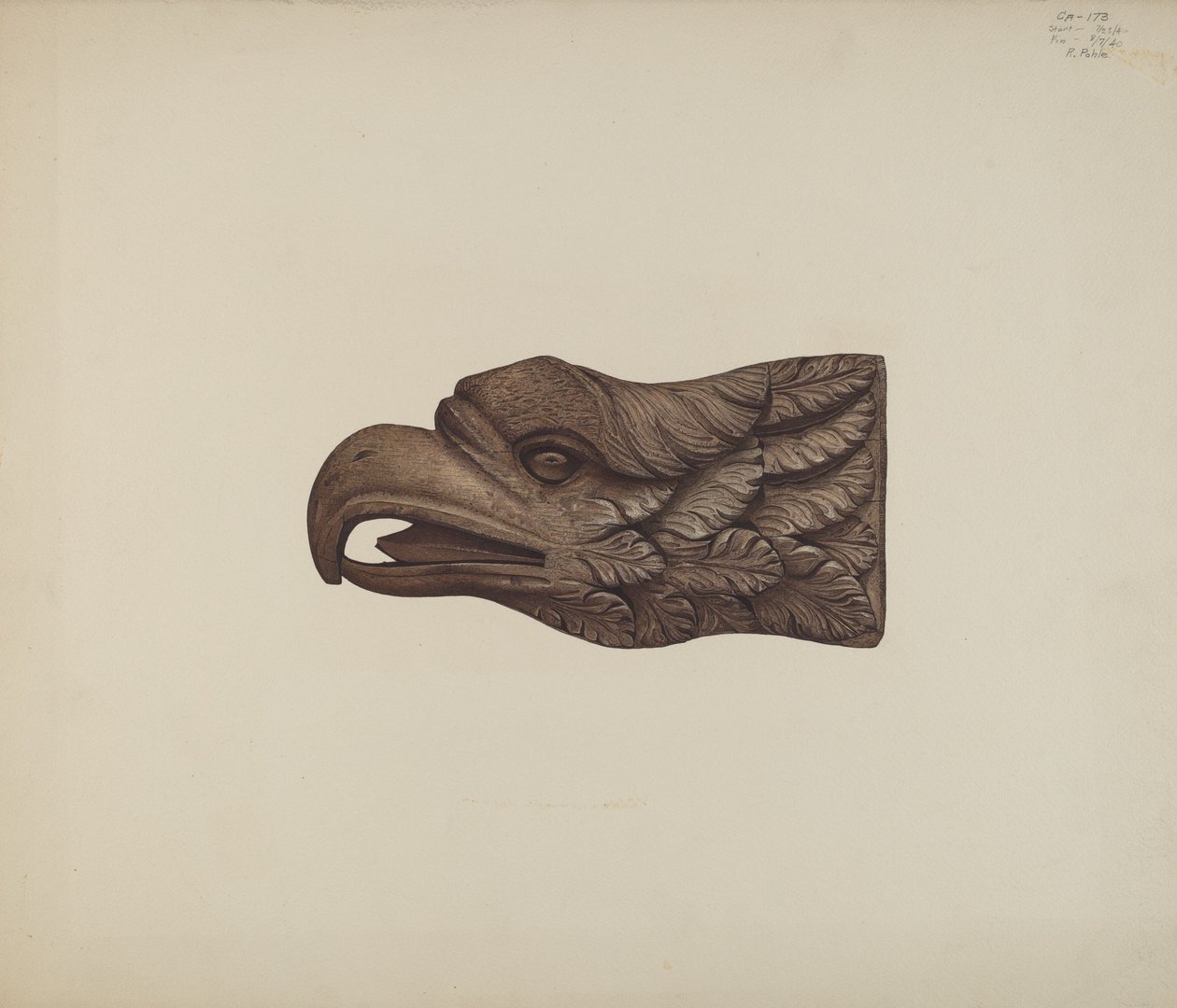 Aigle : Billethead - Robert Pohle