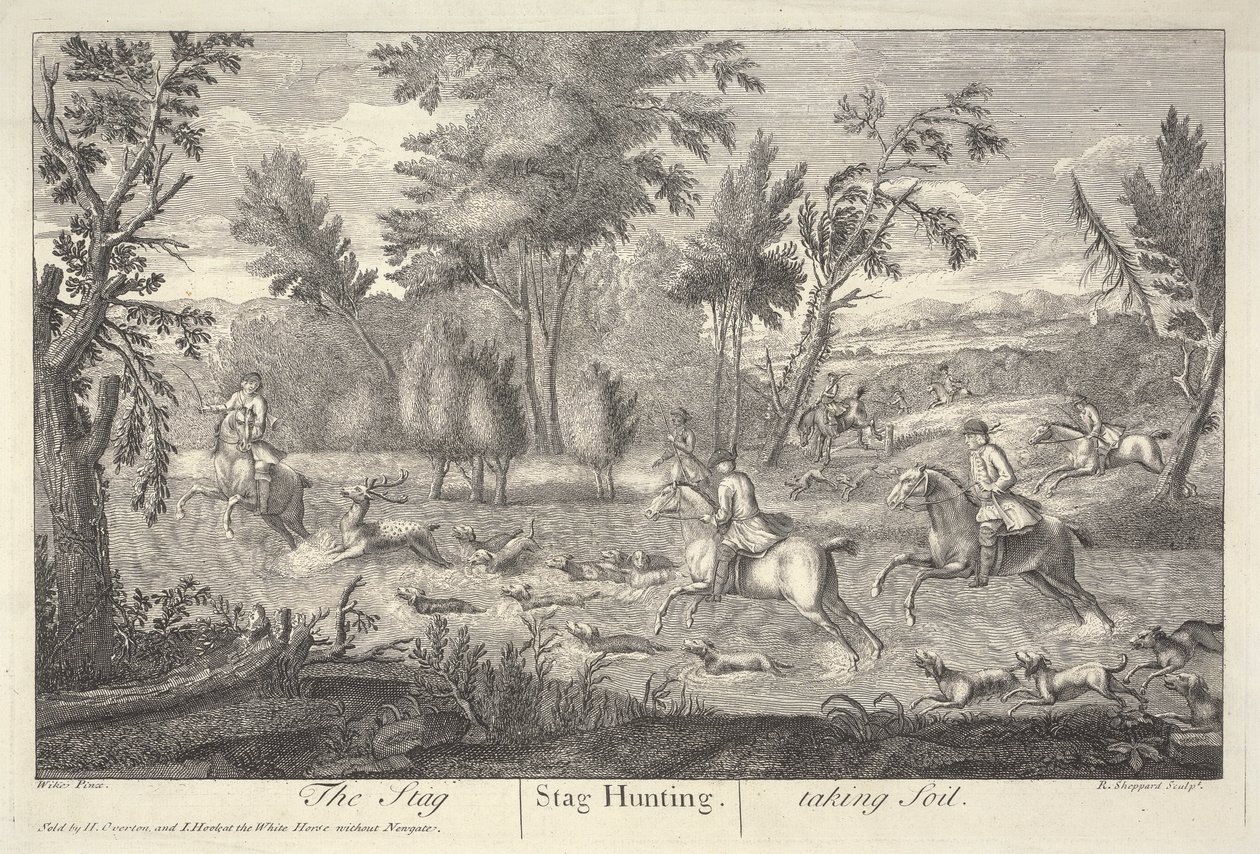 Le cerf prenant le sol - Robert Sheppard