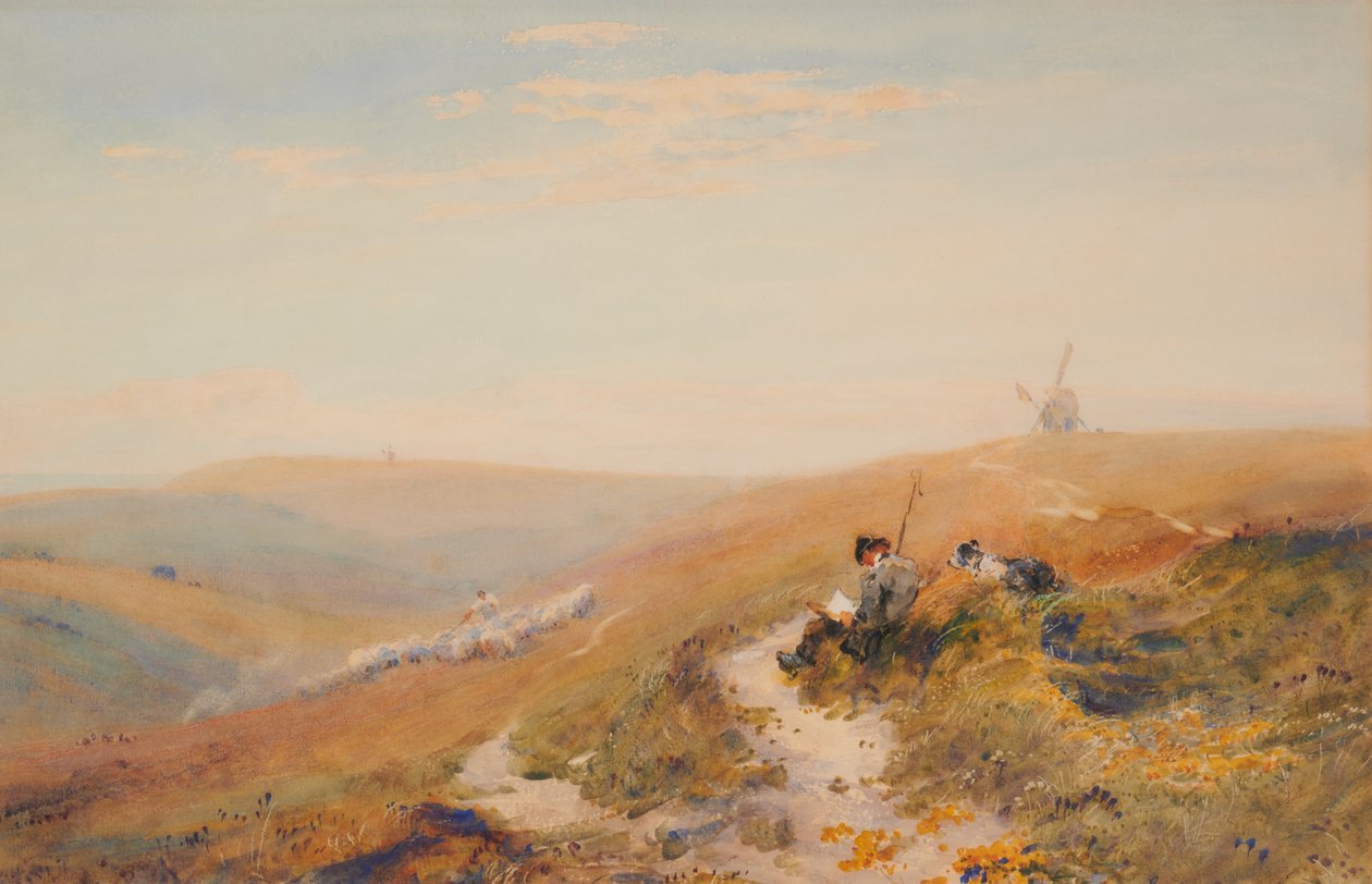 Les Downs du Sussex (Automne) - Robert Thorne Waite