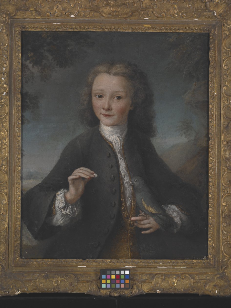 Voltaire à l