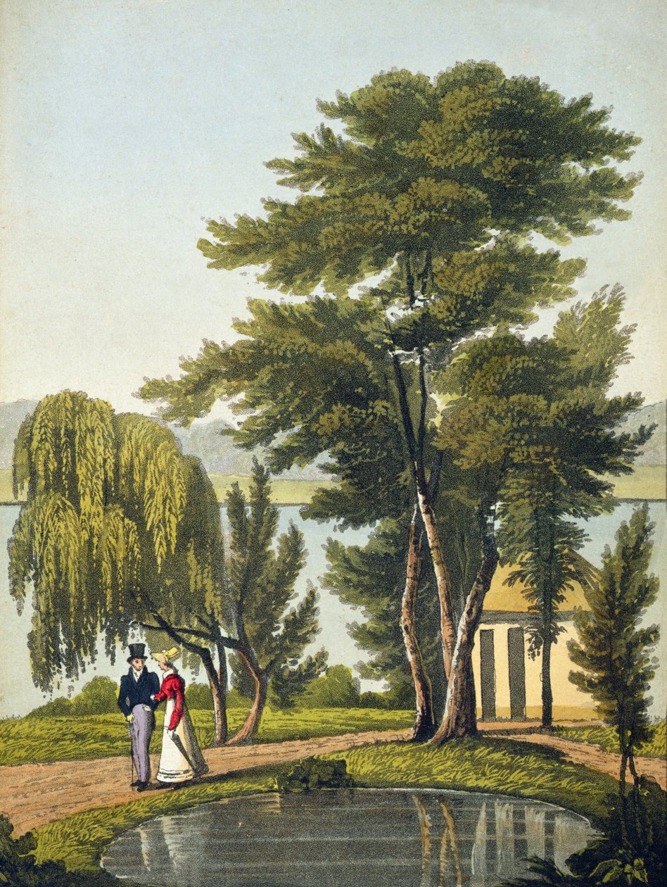 Clifton, de 