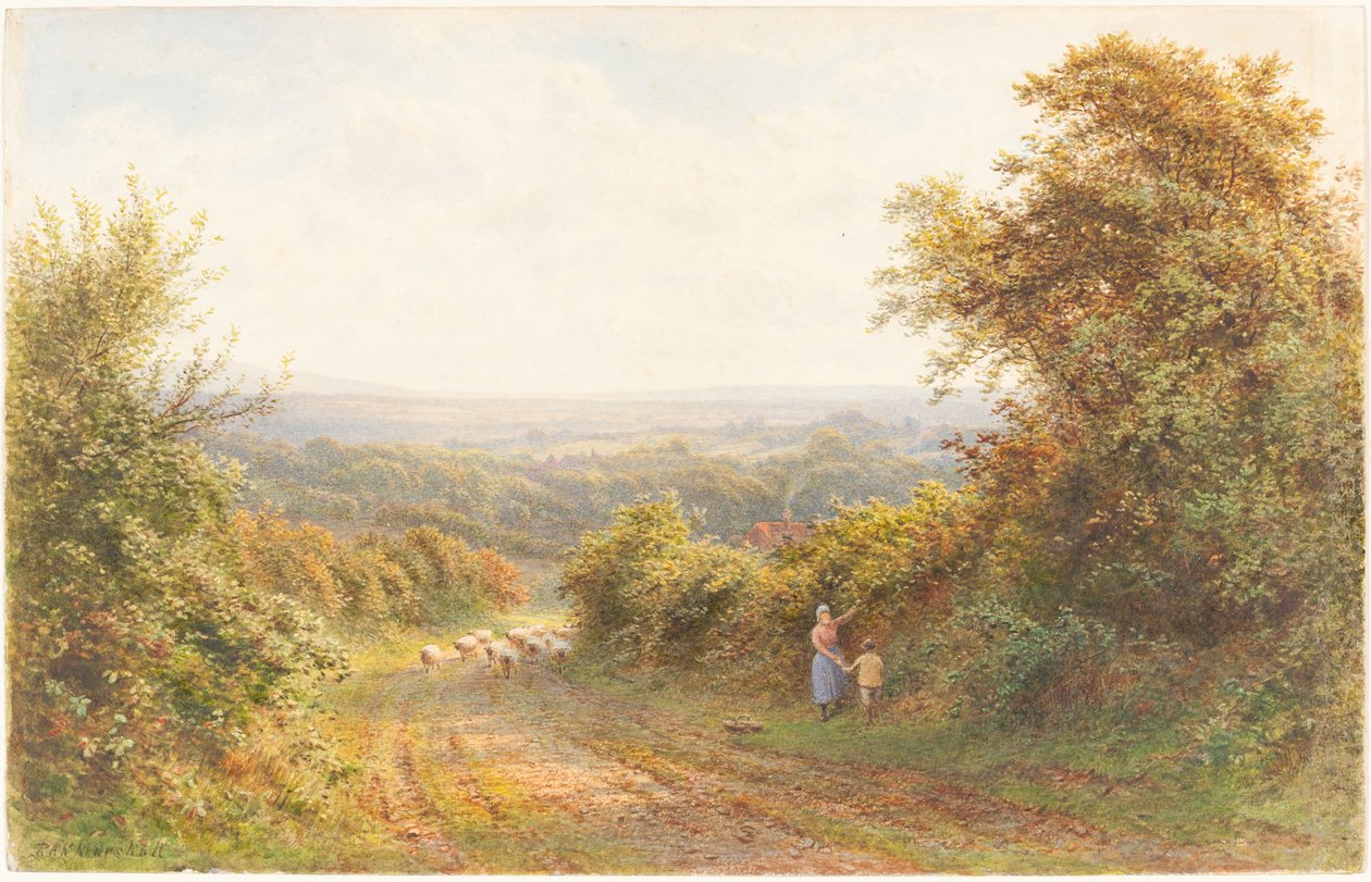 Squirrel Lane, près de Magham Down, Sussex - Roberto Angelo Kittermaster Marshall
