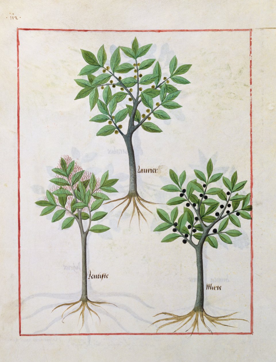 Illustration du 