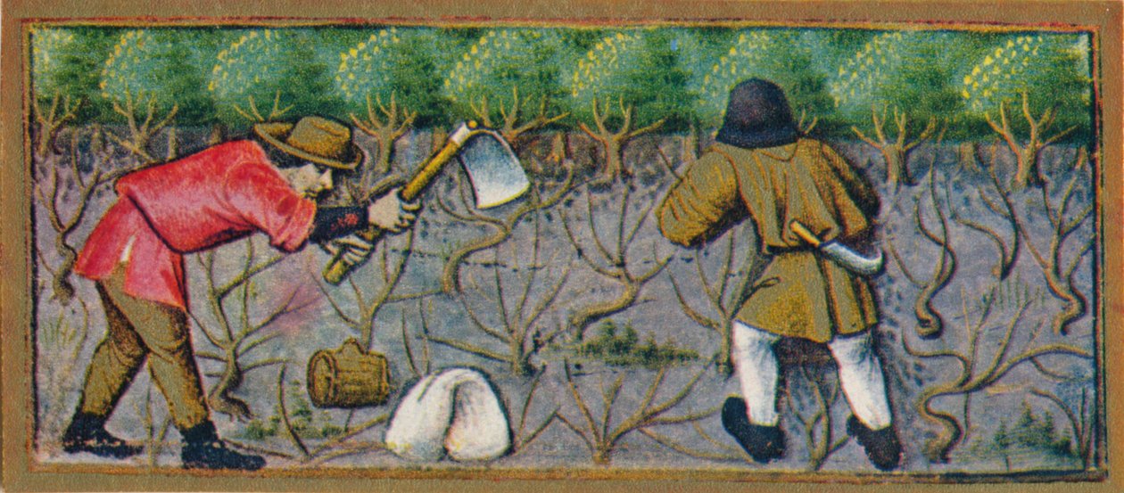 Mars - travail dans le vignoble, 15e siècle - Robinet Testard