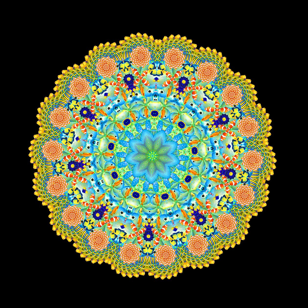 Roue de poissons tropicaux - Robyn Parker