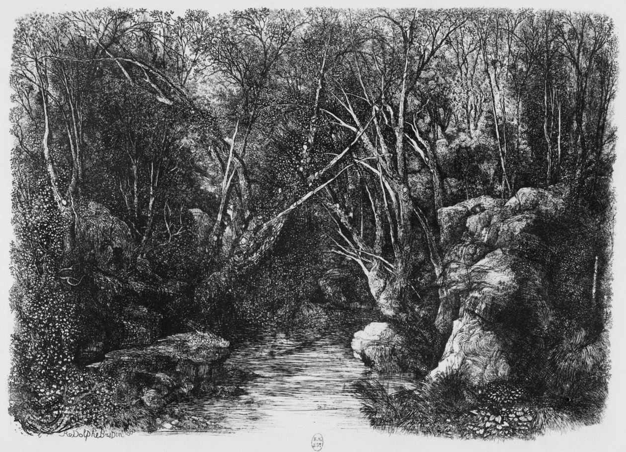 Le ruisseau à travers les arbres, 1880 - Rodolphe Bresdin