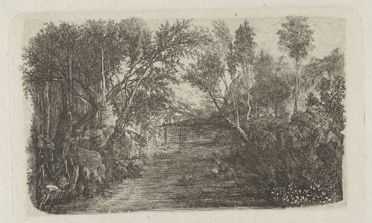 Paysage avec ruisseau et arbres sur les rives - Rodolphe Bresdin