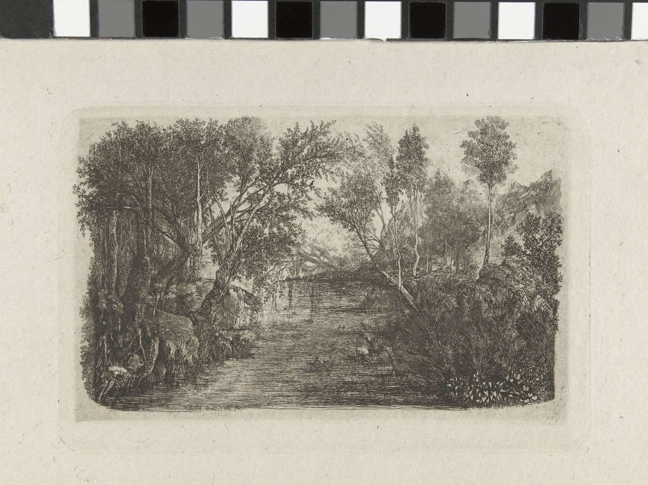 Paysage avec ruisseau et arbres sur les rives - Rodolphe Bresdin