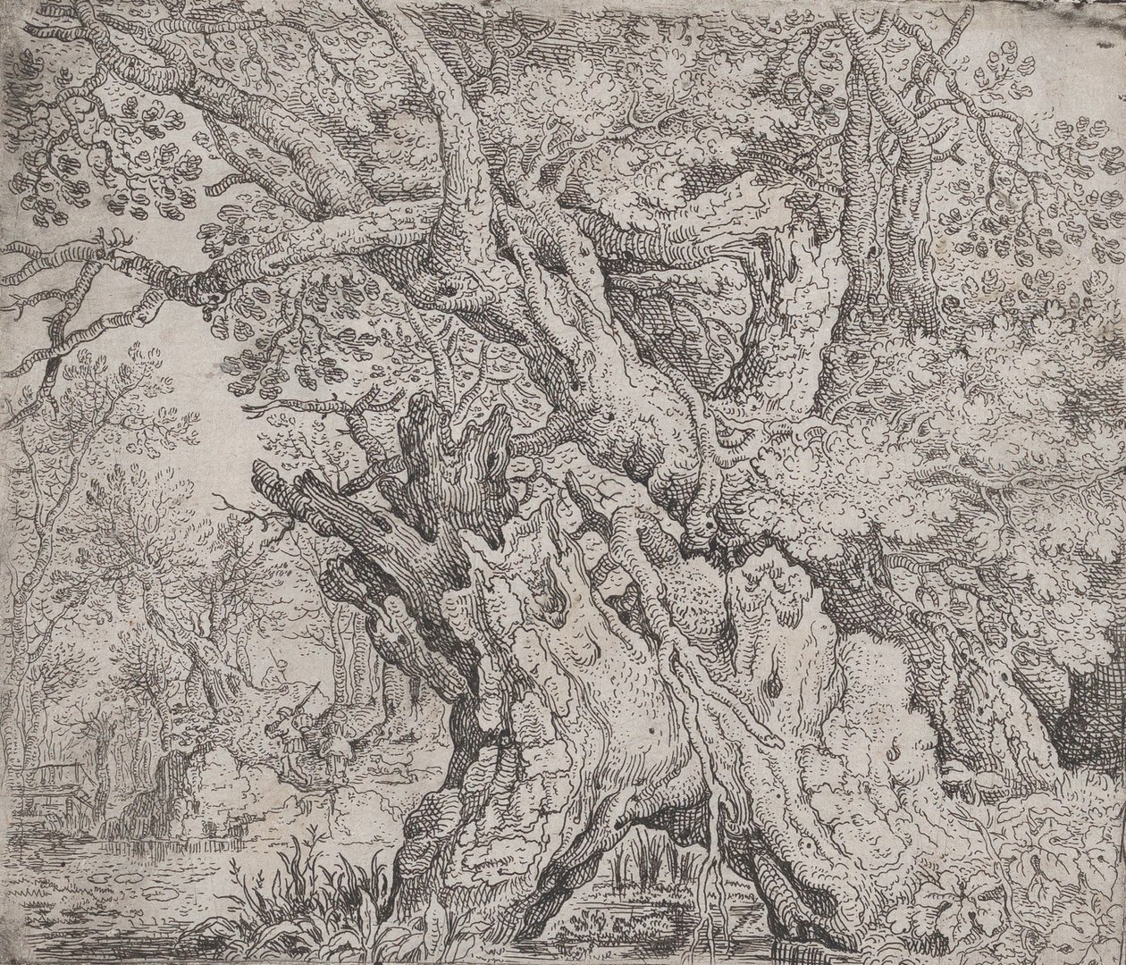 Arbre noueux - Roelandt Savery