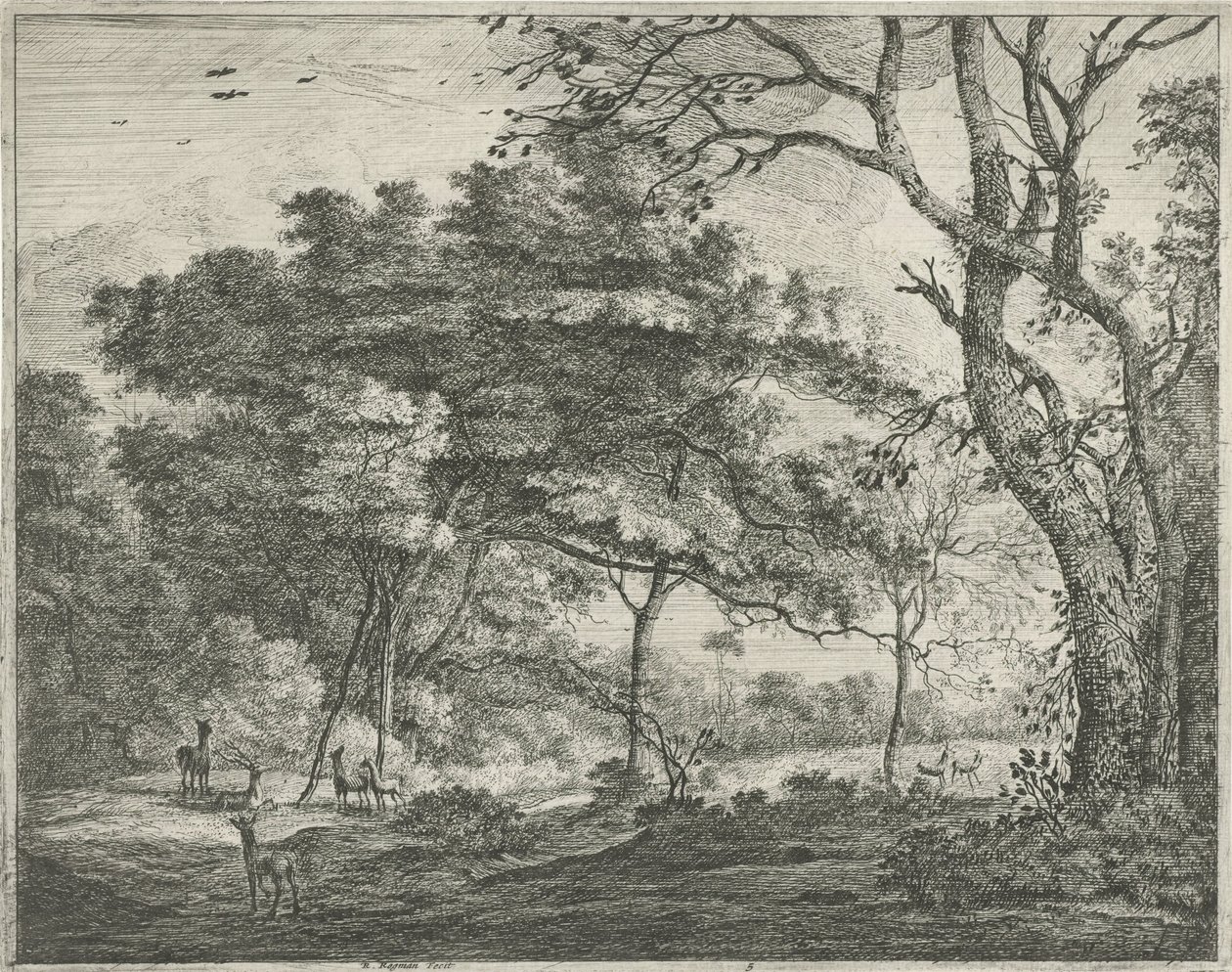 Cerfs dans la forêt de La Haye - Roelant Roghman
