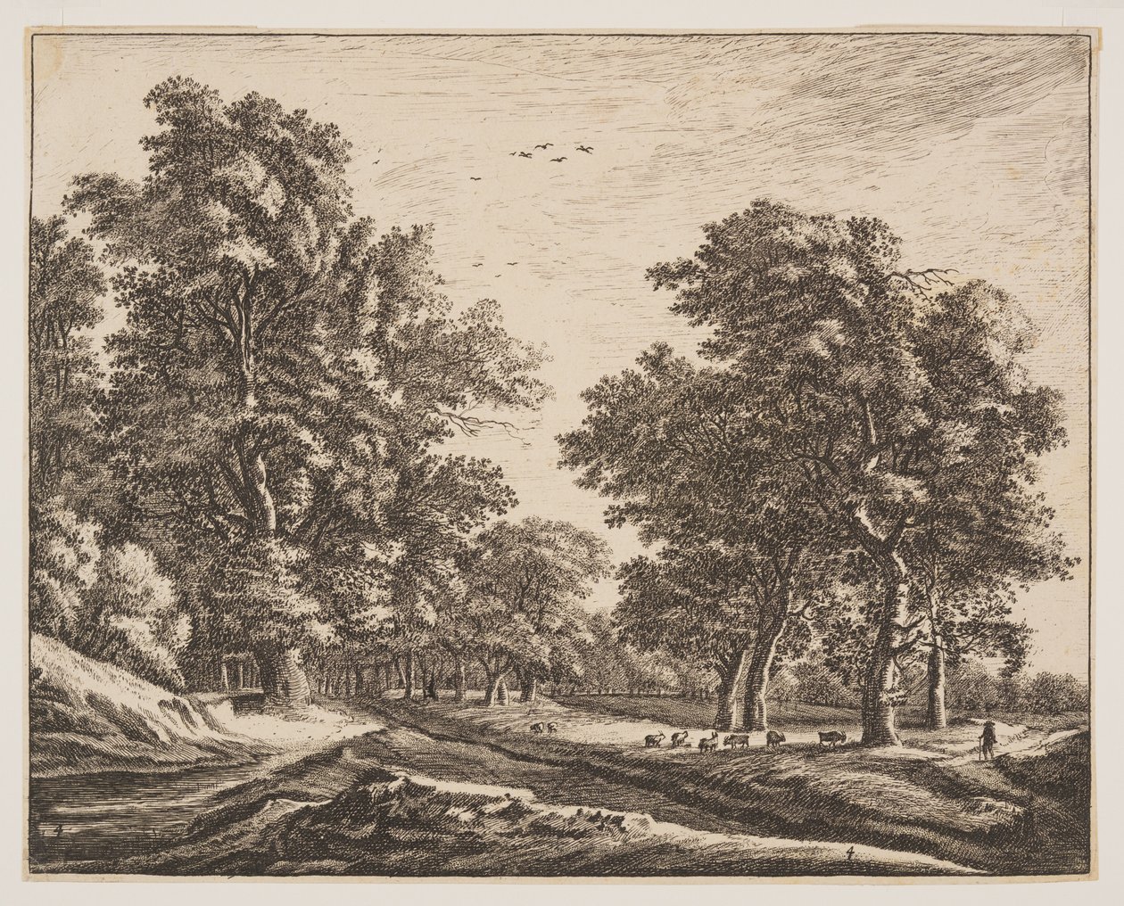 N° 4, extrait de Six vues dans le bois de La Haye - Roelant Roghman