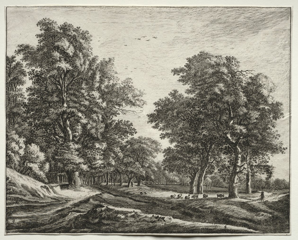 Six vues dans le bois de La Haye : Planche 4, Chèvres sous les arbres - Roelant Roghman